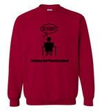 Thinking and Planning Ahead Sweatshirt CYOF
