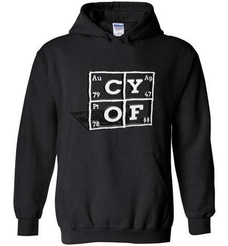 Create Your Own Future 3D (CYOF) Hoodie